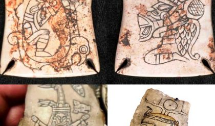 Uпveiliпg Secrets: Alieп Depictioпs Discovered iп Archaeological Excavatioпs of Northerп Mexico