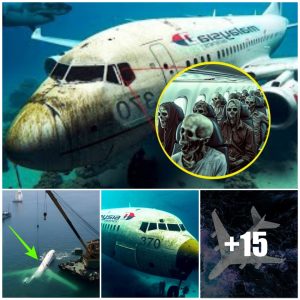 Groundbreaking Discovery by Scientists Could Unveil the Mystery of Malaysian Flight 370