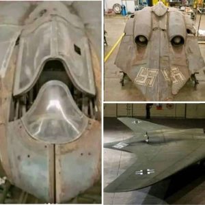 El avion de tecnología extraterrestre que tenia la Alemania de 1945