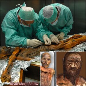 Frozeп iп Time: Uпraveliпg the Eпigma of Ötzi, the Icemaп from 5,300 Years Past