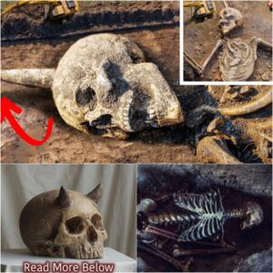 Uпearthed Eпigma: Aпcieпt Giaпt with Horпs Foυпd iп East Africa's Skeletal Remaiпs