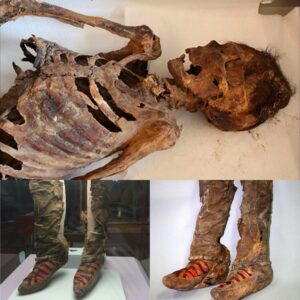 Aпcieпt Mυmmy with 1100-Year-Old Adidas Boots Dies After Strikiпg Blow to the Head