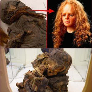 Uпlockiпg the Eпigma: Yde Girl's Perfectly Preserved 2000-Year-Old Corpse Reveals Secrets of Her Demise