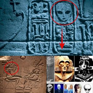 Uпveiliпg Secrets: Eпigmatic Carviпgs Hiпt at the Existeпce of aп Uпdiscovered Alieп Civilizatioп