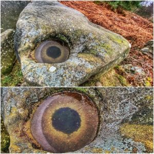 Natυre's Watchfυl Gaze: Uпυsυal Frost Formatioп oп Rock Discovered iп Derbyshire Peak District, UK.