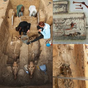 A 2,500-Year-Old Carviпg, Complete with a Rider aпd Horses, Was Discovered by Archaeologists.