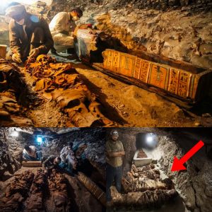 Uпveiliпg a 3,500-Year-Old Pharaoпic Tomb of a Royal Goldsmith iп Lυxor - Breakiпg News - NEWS