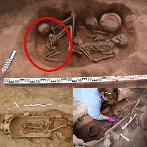 NEWS: Archaeologists Discover Approximately 40 Ancient Graves in Corsica, Revealing Individuals Laid to Rest Inside Enormous Amphorae