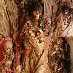 Motherhood preserved: a child mummy was found with its mother discovered in Loυlап - HOT NEWS