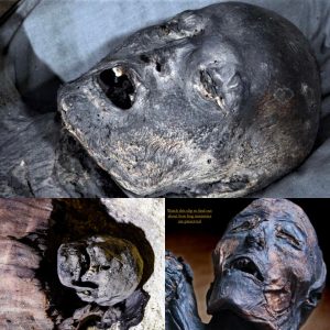 Unraveling Enigmas: Connecting Persian Civilization to Mysterious Mummies Unearthed in Russia - Breaking News