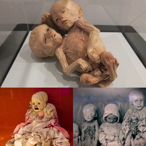 Mesmerizing Mummies of Guanajuato, Mexico: A Captivating and Poignant Assembly - Breaking News