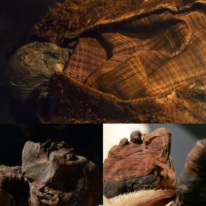 The Huldremose Woman: Among the Finest-Preserved and Most Fashionable Bog Bodies