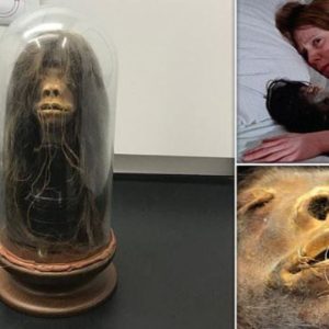 Startling Revelation: The Shrunken Head from the 1979 Film 'Wise Blood' Confirmed to be a Genuine Human Head Crafted from Human Tissue, Sending Shockwaves Across the Film Industry