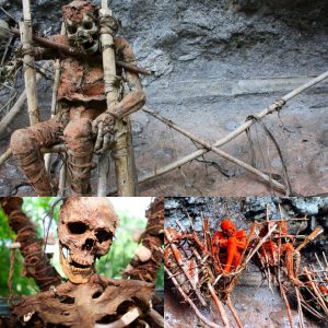 NEWS: Aboriginal mummies found in fighting positions reveal a horrifying history.