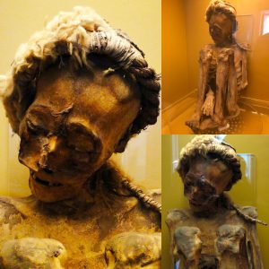 Discovery Unveiled: Mummy Resurfaces at the National Museum of Rio de Janeiro - Breaking News