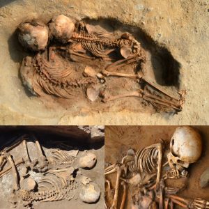 Uncovering Ancient Human Sacrificial Offerings at Pozo de Ibarra - Latest Archaeological Findings