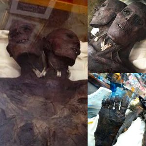 Unraveling the Mystery of Kap Dwa: Two-Headed Mummified Patagonian Giant – Fact or Fiction?