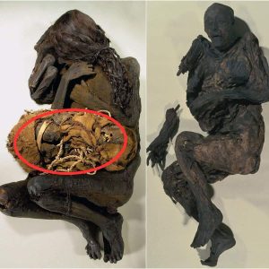 Unraveling the Mystery of the 600-Year-Old Mummy Clutching the Package.
