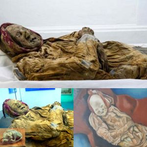 Ecuador's Guano Mummy Unlocks Insights into a Pervasive Global Disease - NEWS