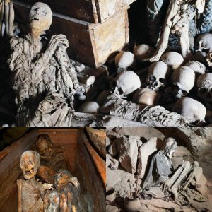 Revealing Secrets from the Dead: Examining the Most Intriguing Mummified Remains