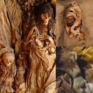 Unearthing History: Qing Dynasty Female Corpse Discovered in Jingu Lujiaoshan Tomb