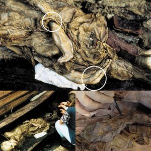 Ancient Siberian Ice Maiden: Unraveling the Mystery of the 2500-Year-Old Ukok Princess Mummy - NEWS