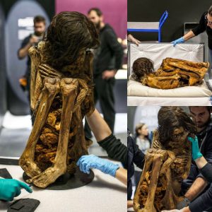 Peruvian Mummy Preserved in Fetal Position for Millennia Unearthed at Pre-Inca Burial Site - NEWS