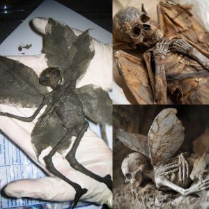 Unraveling the Mystery: Discovery of a Fairy Mummy Reshapes Archaeological Understanding
