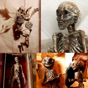 Unveiling the Millennia Mystery: Tiny Winged 'Human Skeleton' Discovered in London Ancient House Basement