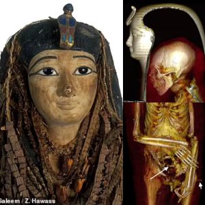 The Enigma Unveiled: CT Scans Illuminate Amenhoteр I's Life - Revealing the Egyptian Pharaoh's Physical Characteristics 3,000 Years After Death