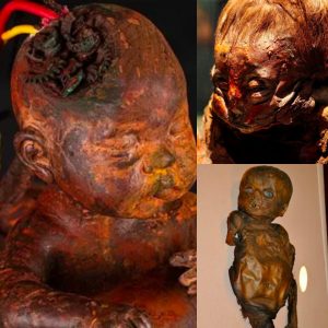 Unveiling History: The Detmold Child - A 6,500-Year-Old Peruvian Mummy Wrapped in Linen with an Amulet Buried Around Its Neck - NEWS