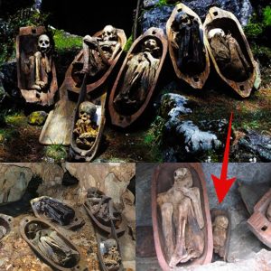 Unveiling the Mystery of the Fire Mummies: Human Remains Preserved Through a Prolonged Dehydration and Smoking Process, Discovered in the Caves of Kabayan, Benguet Province, Philippines - NEWS