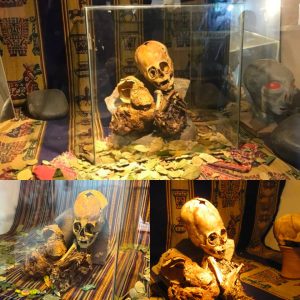 Discovery of Enigmatic Skeletal Remains in Huayqui, Peru - NEWS