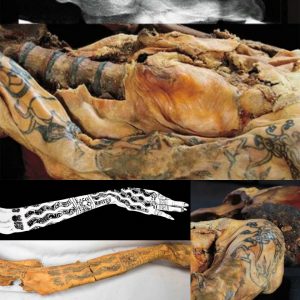 Introducing the Extraordinary Lady of Cao: An Ancient Peruvian Mummy Adorned with Tattoos - NEWS