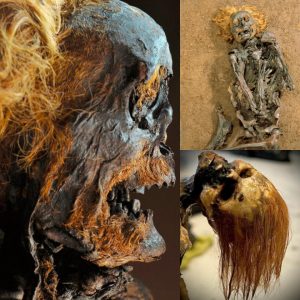 "The Astonishing Revelation of 'Roter Franz': Mummified Young Man with Exceptionally Preserved Hair, Beard, and Striking Red Eyebrows Found in the Enigmatic Bourtanger Swamp! (Video)