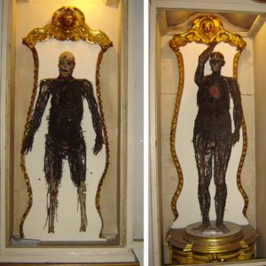 The Anatomical Machines (1763): Intricate Models Replicating the Human Circulatory System