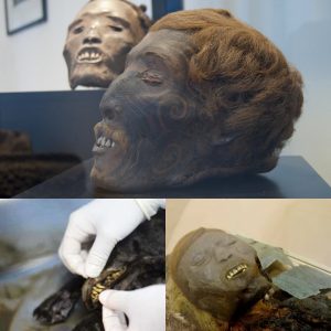 Unlocking Mysteries: Exploring the Ancient Mummy and Its Enigmatic Tale - Breaking News