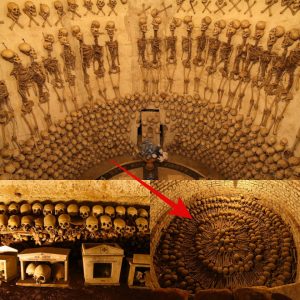 A church filled with anonymous skulls arranged in the shape of a cross, discovered a skeleton holding a cross hanging on the wall.