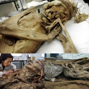 Groundbreaking Discovery: Scientists Stumble Upon Frozen Mummy Encased in Ice, Rewriting History to 20 Million Years Ago