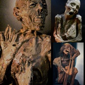 Breaking: Ancient Marvel Unveiled - World's Oldest Chachapoya Mummy Found in Uchucmarca Region - Latest Update