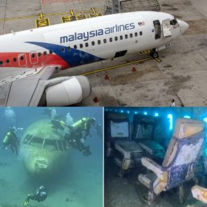 Breaking: New Initiatives to Solve Malaysia Airlines Flight 370 Disappearance, A Decade On (video)