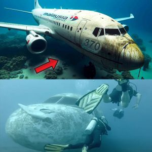 Breaking: Underwater Drone FINALLY Uncovers the Location of Malaysian Flight 370!.