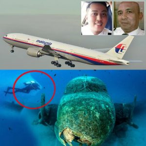 HOT NEWS: Unveiling the MH370 Pilot: Key to a 10-Year Mystery?