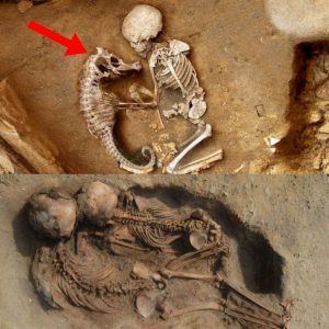 Breaking: Eerie Discovery: Ancient Burial Ritual Reveals Baby Skeleton and Seahorse, Sending Chills.