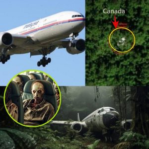 Breaking: Into the Wilderness: Unraveling the MH370 Mystery in the Heart of Canada
