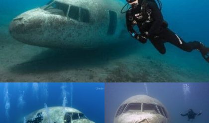 Breaking: Strange deep-sea footage of a sunken passenger plane suspected of being missing MH370 for the past 11 years.