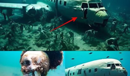 Breaking Discovery: U.S. Navy Flight 19 Located in Bermuda Triangle, Researchers Unveil Stunning Revelation