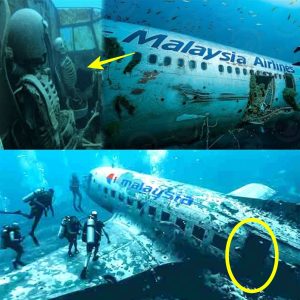 Hot news: The mystery of Flight 370 - Unraveling its disappearance and looking for clues (Video)