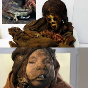 Breaking: Mystery Unveiled: 2,200-Year-Old Shaman Woman Mummy Found Inside Decorated Tree Leaves Experts Baffled.