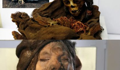 Breaking: Mystery Unveiled: 2,200-Year-Old Shaman Woman Mummy Found Inside Decorated Tree Leaves Experts Baffled.
